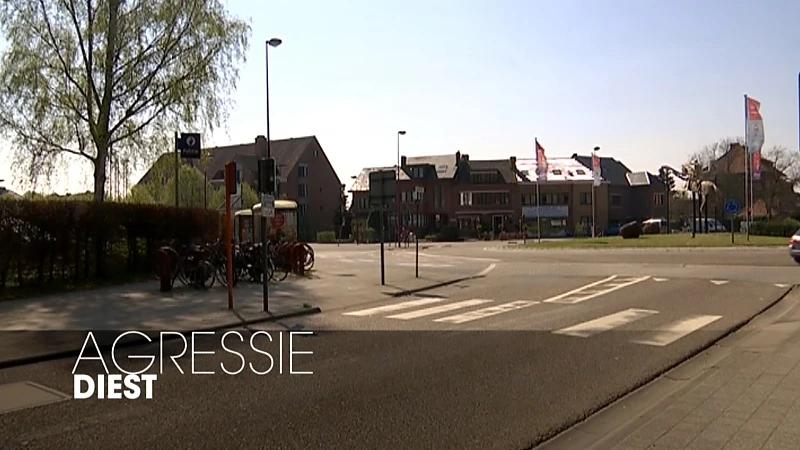 Meisje (18) maakt het erg bont tijdens politiecontrole in Diest