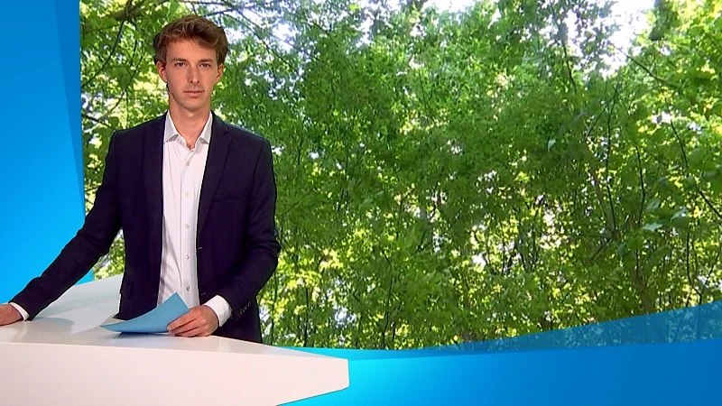 Code geel voor alle bossen en natuurgebieden in onze regio