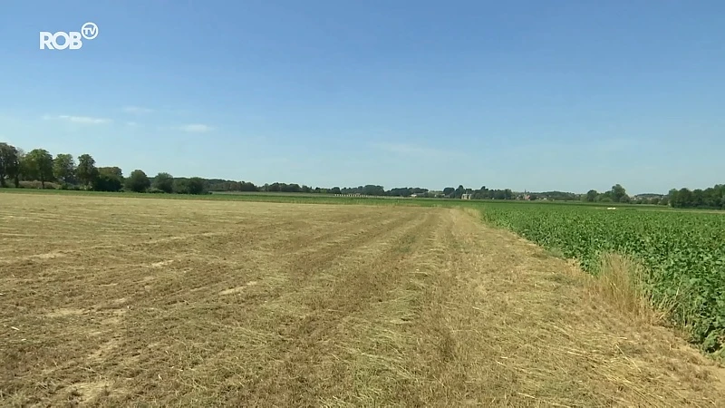 Groot gemis in Glabbeek: geen Strandfuif dit weekend door corona