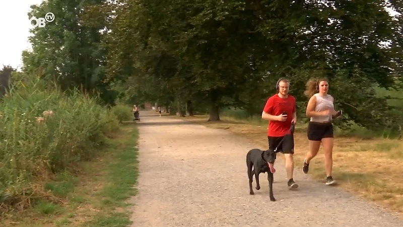 Wandelaars en lopers zoeken vroeg in de ochtend verkoeling in Abdij van Park in Heverlee