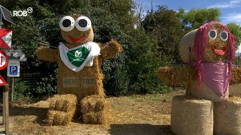 Originele stropoppen van Groene Kring fleuren landbouwvelden op