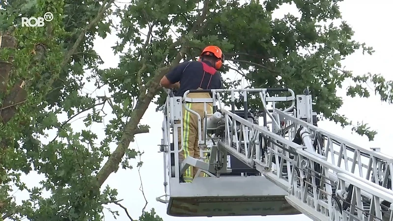 Storm Francis slaat ook toe in onze regio: van omgewaaide tuinhuisjes tot afgeknapte bomen