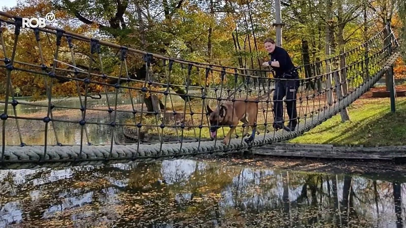 Inspecteur Dorien en hond Styx geslaagd voor patrouillehondgeleider