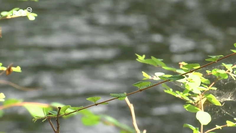 Stad Leuven zet water van Dijle in tegen opwarming klimaat