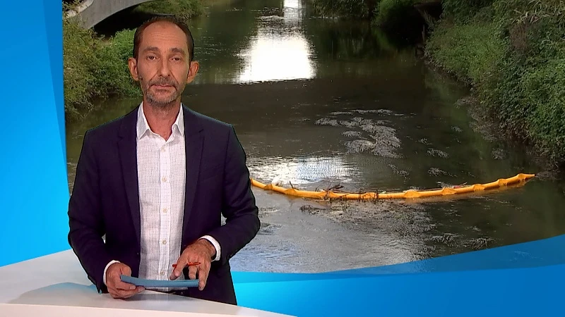 Plasticvanger van stad Leuven vist bijna 1.000 kilo afval uit Dijle in anderhalf jaar tijd