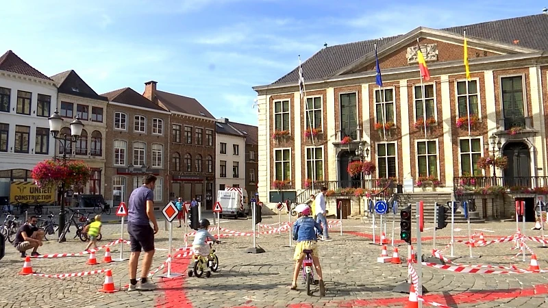 Fietszone in Diest sinds vandaag van kracht