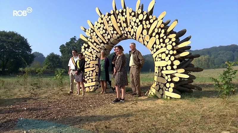 Chartreuzenbos in Holsbeek heeft natuuroase om in te bosbaden: "Even tot rust komen"