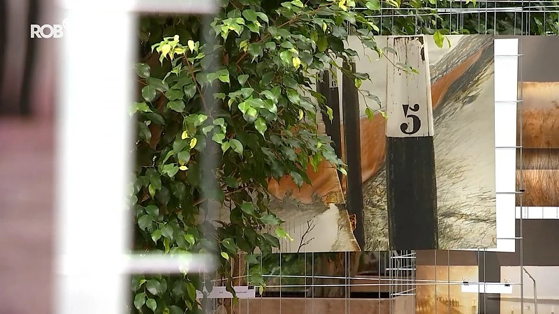Geen foto's maar gelaagde composities vullen orangerie van Kruidtuin in Leuven