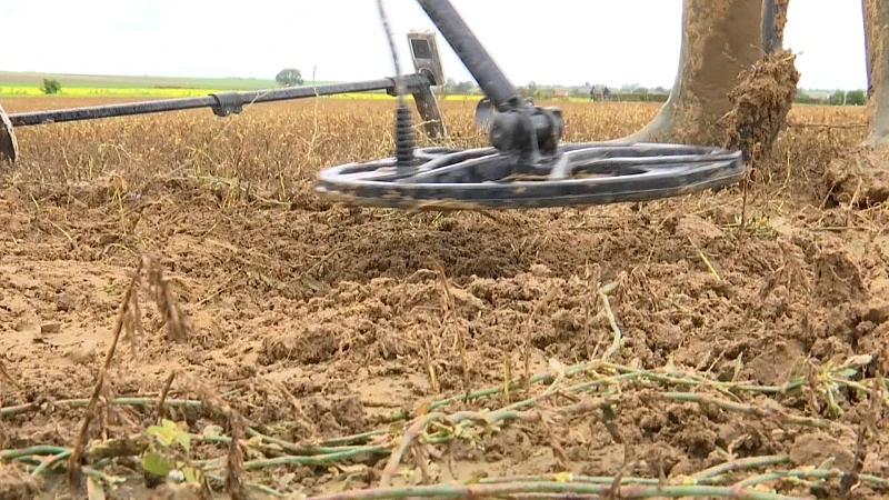 Hobbyist doet bijzondere ontdekking in Landense leemgrond
