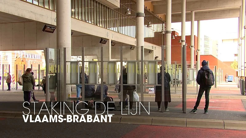 Amper 1 op de 4 buschauffeurs in Vlaams-Brabant uitgereden door vakbondsactie bij De Lijn