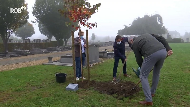 Diest plant bomen op kerkhoven ter nagedachtenis van coronaslachtoffers