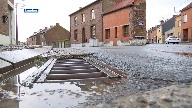 Rattenplaag in Landen: stad zet bedrijf in om dieren te bestrijden