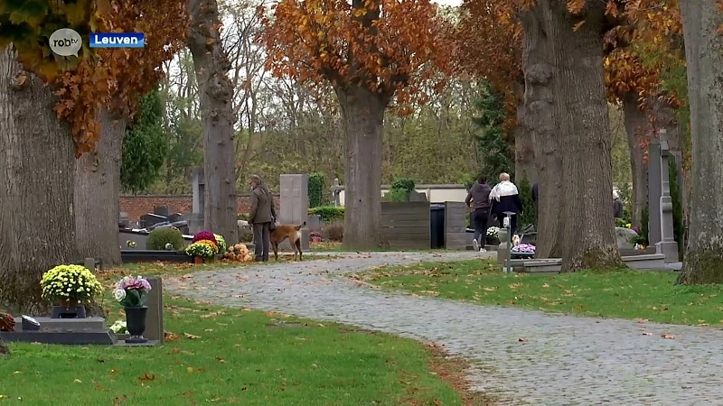 Rustige Allerheiligen op stadsbegraafplaats Leuven