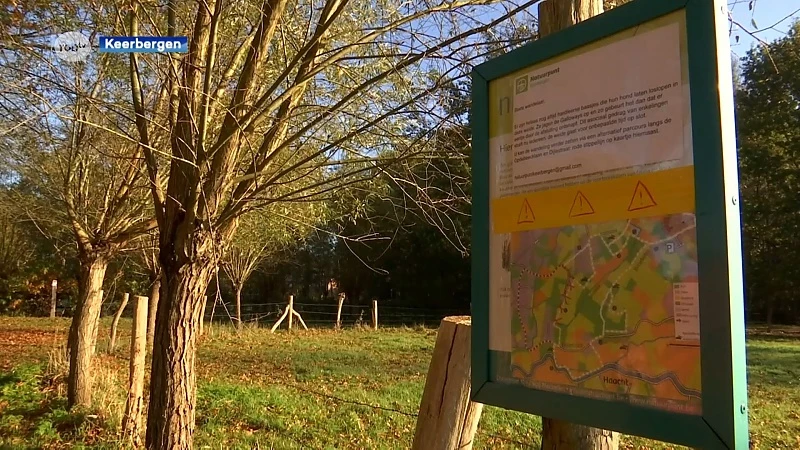 Te veel problemen met loslopende honden: weide in natuurgebied Broekelei in Keerbergen afgesloten