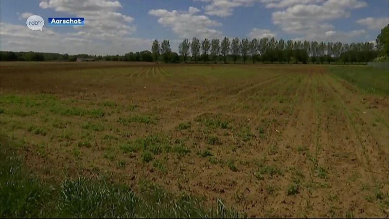 Groen licht voor twee windturbines in Aarschot