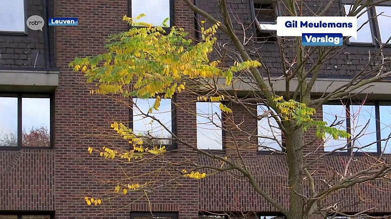 Parking vlak naast park De Bruul vinden buurtbewoners ook geen goed idee: "Dat is het probleem verplaatsen"