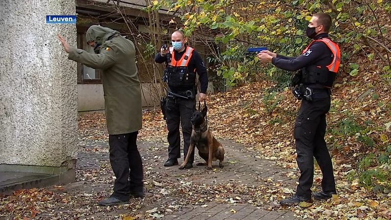 Welkom Django en Kay: twee nieuwe patrouillehonden van de Leuvense politie