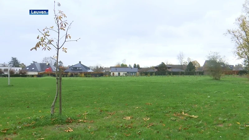 Primeur: verkeerspark naast campus Woudlucht in Heverlee combineert theorie en praktijk op één locatie