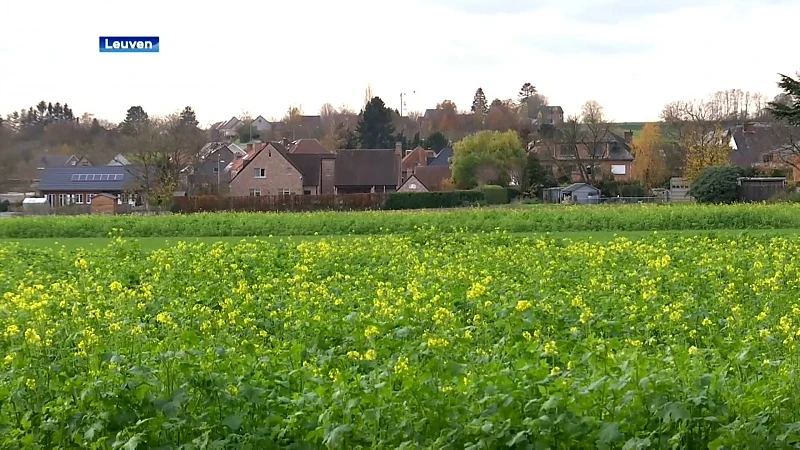 Klimaatneutrale woonwijk van ongeveer 450 woningen op komst in Leuven