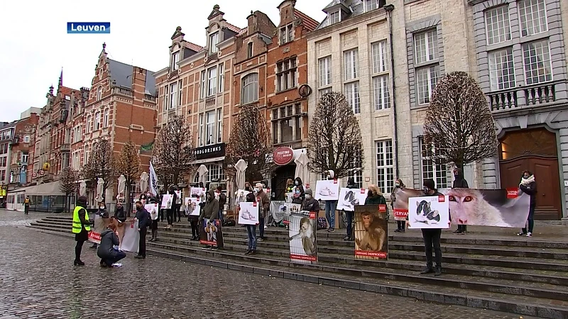 Animal Rights protesteert tegen dierenproeven KU Leuven