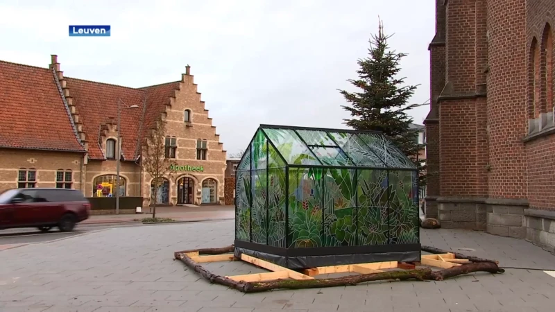 Kerststalletje in Wilsele verdeelt de meningen: leuke nieuwigheid of toch niet je dat?