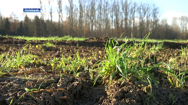 Holsbeek heeft nog altijd geen nieuw voetbalveld, 1 grondeigenaar ligt dwars