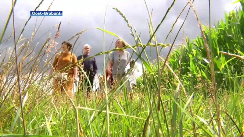 Hageland is dé wandelhotspot van Vlaanderen