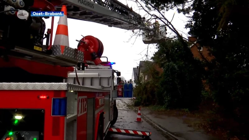 Storm Bella zorgt voor heel wat overlast in onze regio