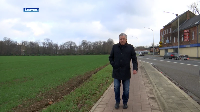 Zit er een wolf in onze regio?