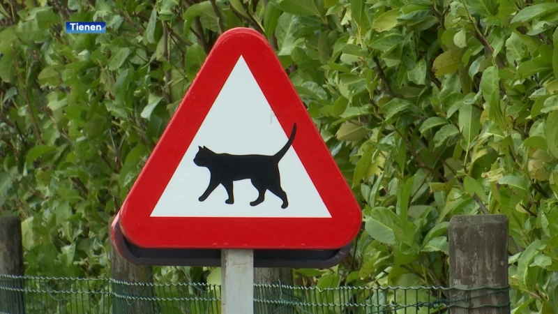 Opgelet voor overstekende katten: opvallend verkeersbord in Vissenaken