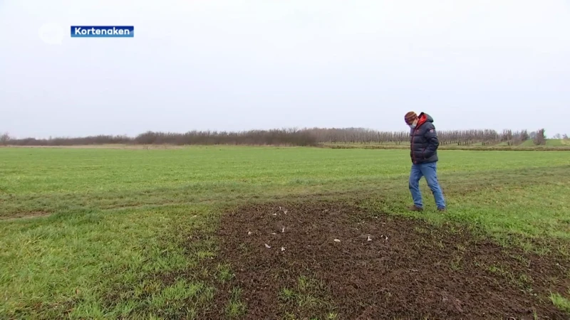 Sluikstorter loost inhoud beerput met tientallen condooms in natuurgebied Heibos in Kortenaken