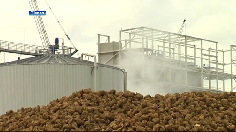 Stad Tienen vraagt aan Suikerfabriek om geurhinder te blijven aanpakken