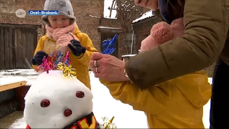 Vanaf morgennamiddag zal er ook in onze regio sneeuw vallen