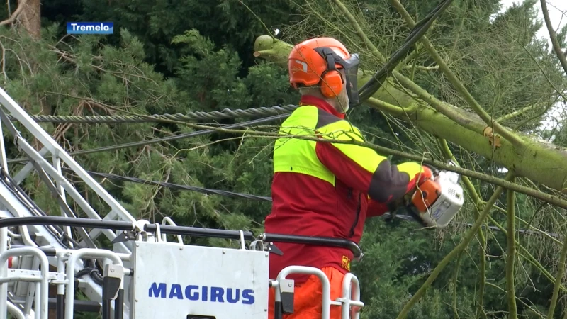 Onweer treft ook onze regio: omgevallen bomen, loshangende elektriciteitskabels en kapotte dakpannen