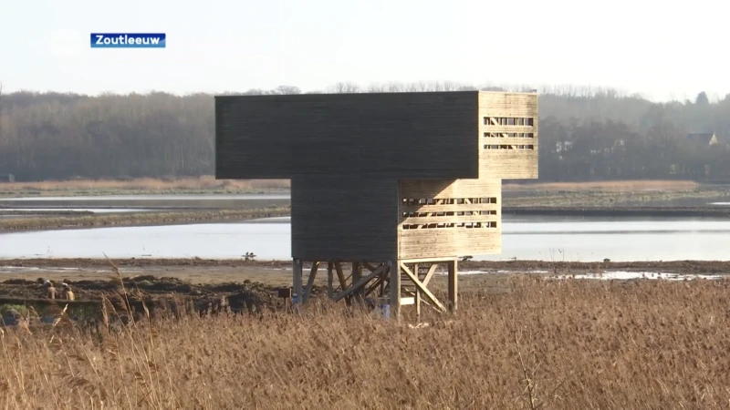 De waterwerken in Het Vinne in Zoutleeuw zijn zo goed als klaar