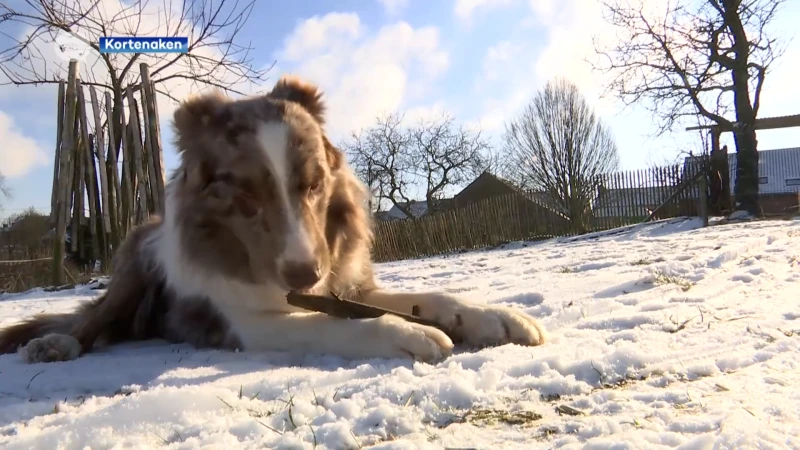 Zo hou je je dieren warm tijdens de vrieskou