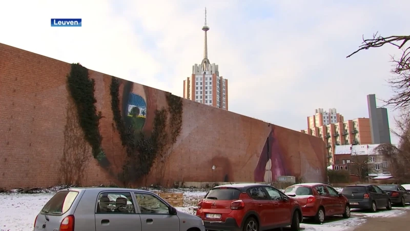 Nieuwe streetart in Leuven: piepend meisje duikt op tussen klimop