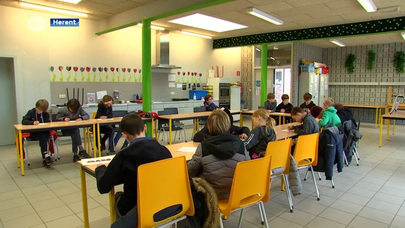 Krokuskampen moeten extra regels volgen: "Moelijke puzzel, maar geen enkel kamp moeten annuleren"