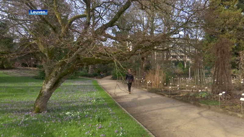Wandelen, fietsen of zelfs barbecueën: zelfs in februari is het nooit te vroeg om van de zon te genieten