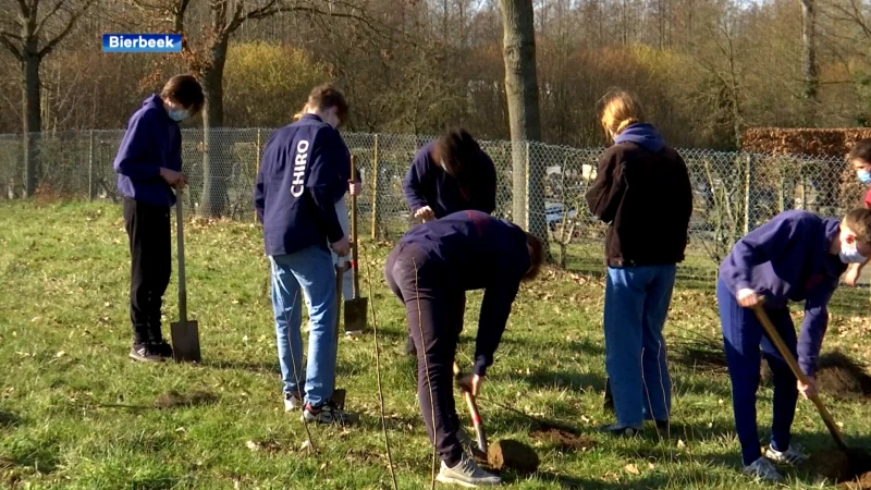 Chiro Karoo uit Bierbeek plant nieuw speelbos aan (of toch de laatste 200 bomen)