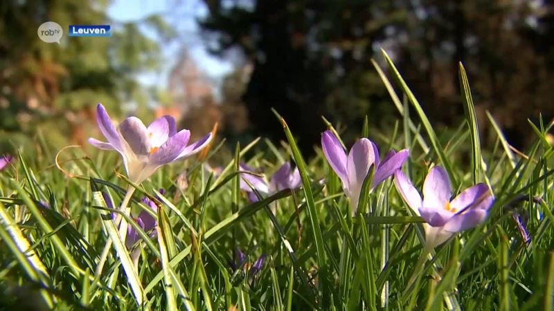 "Het is hier heerlijk", bezoekers genieten van vroege lentedag in Kruidtuin