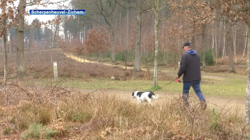 Natuurgebieden vrezen massa wandelaars nu je weer met 10 mensen mag afspreken