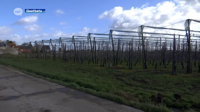 Natuurpunt vraagt aandacht voor illegale grondwaterpompen