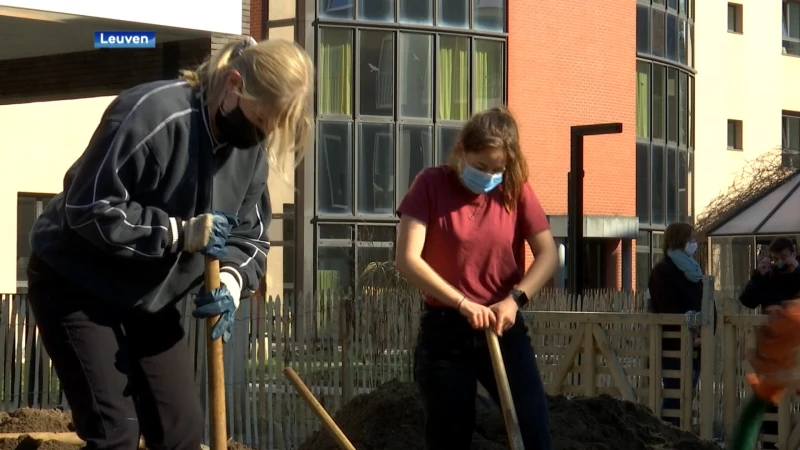 Buurtbewoners leggen samen met chiro Hekeko grote buurtmoestuin aan in Leuven