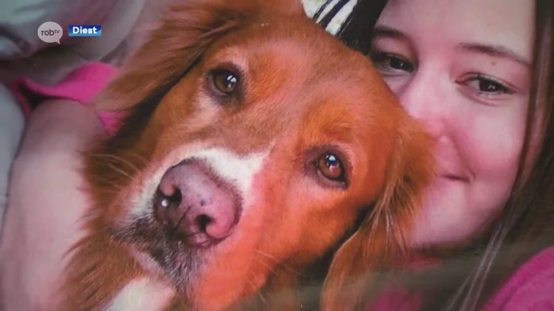 Onwezenlijk: hond van familie Frederickx uit Diest werd doodgestoken in hun eigen tuin