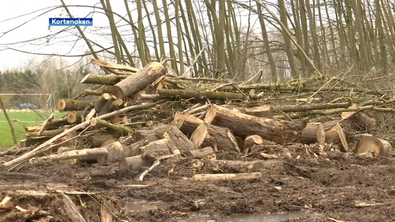 Natuurpunt dient klacht in bij Agentschap Natuur en Bos nadat stukje bos in Kortenaken volledig wordt verwoest