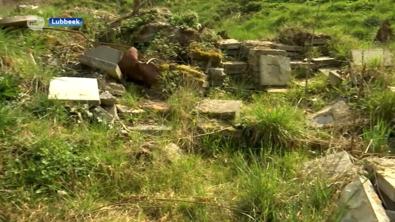 Lubbeek vormt oude stortplaatsen om tot bos