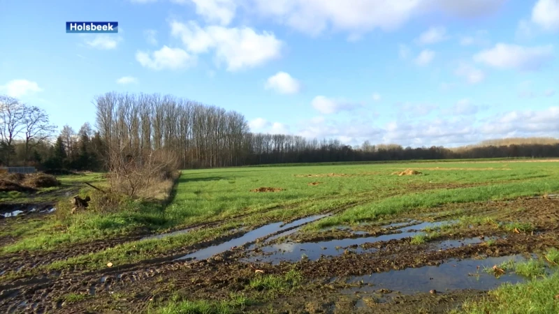 Holsbeek heeft plannen voor 7 padelterreinen en een skatepark aan de Bruul