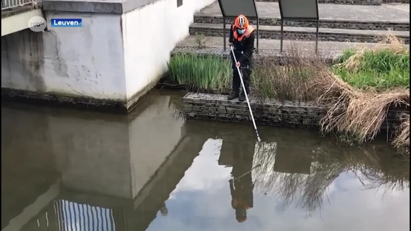 Agenten proberen drugs uit de Dijle te vissen nadat man in het water springt tijdens politiecontrole