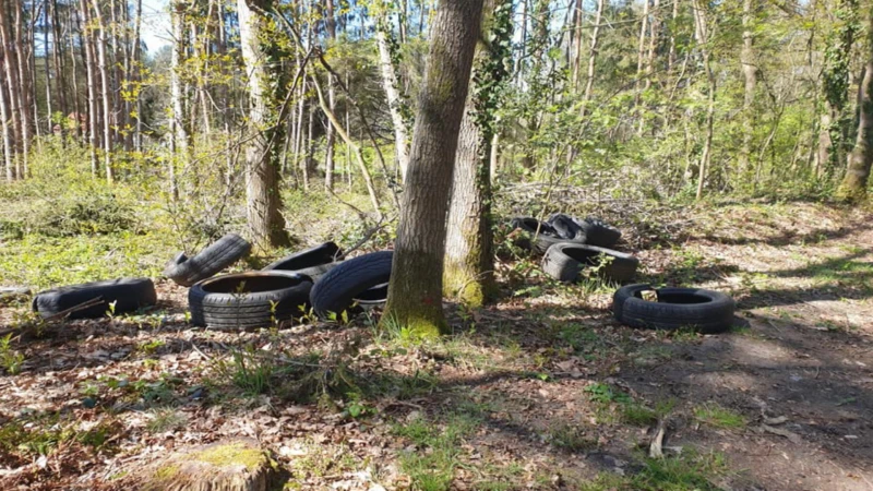 Sluikstorters dumpen grote hoeveelheid banden in Langdorp